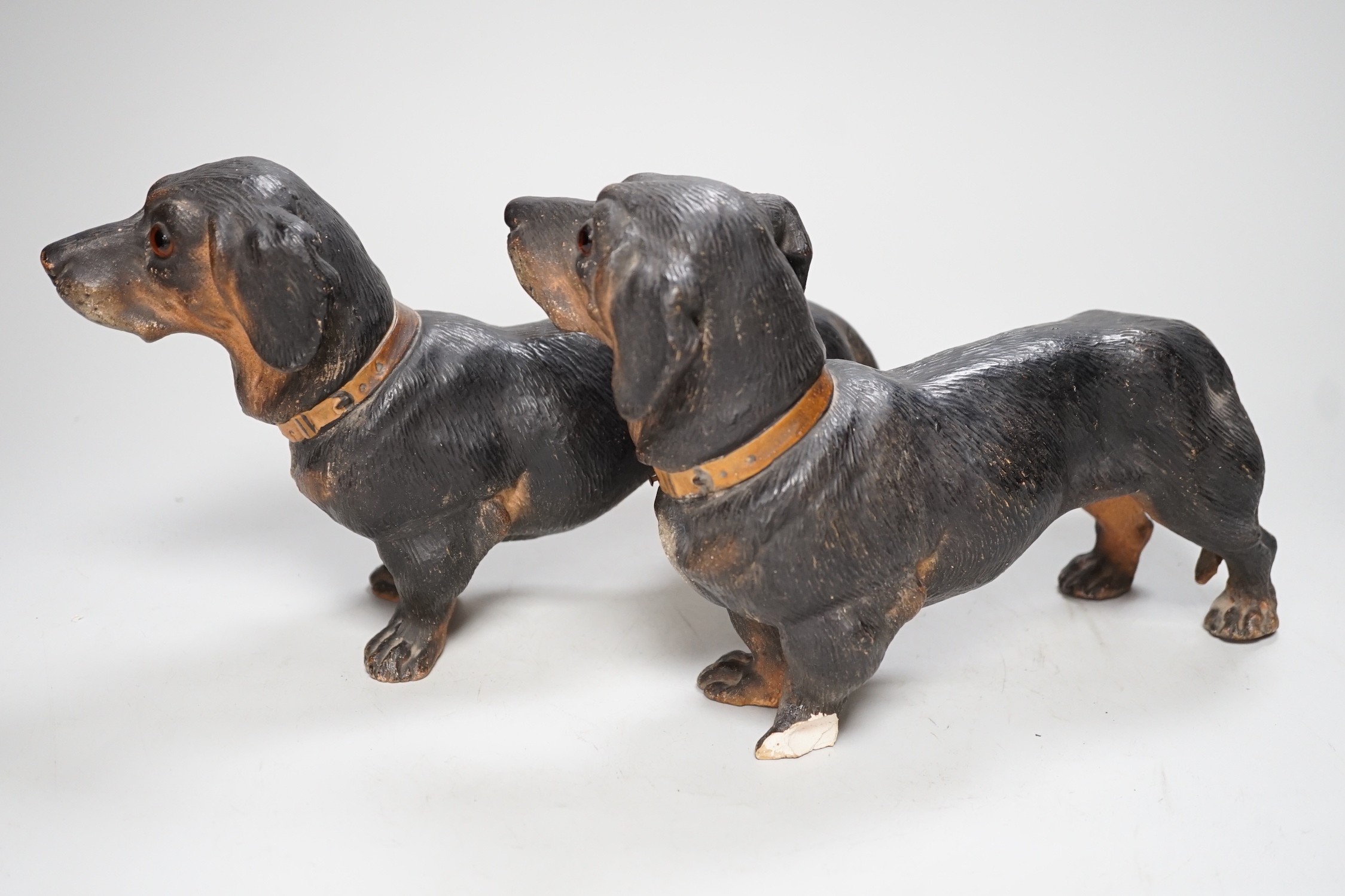 A pair of Austrian cold painted terracotta models of Dachshunds, one paw damaged, inset glass eyes 28cm long